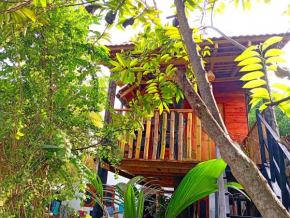 Parrot Tree House